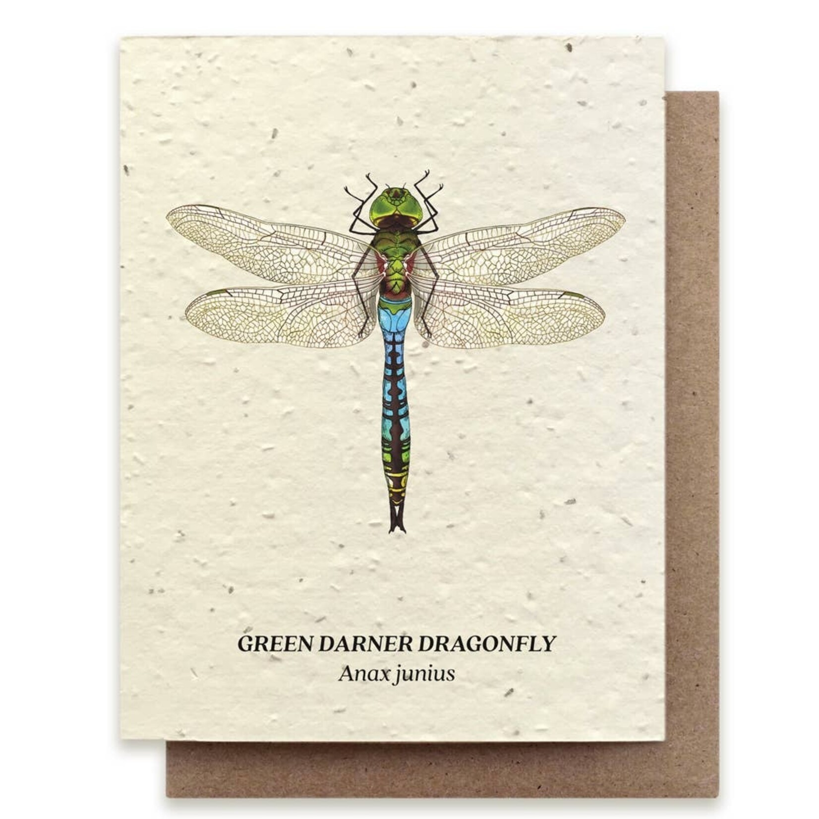 Small Victories Small Victories Green Darner Dragonfly Plantable Wildflower Seed Card