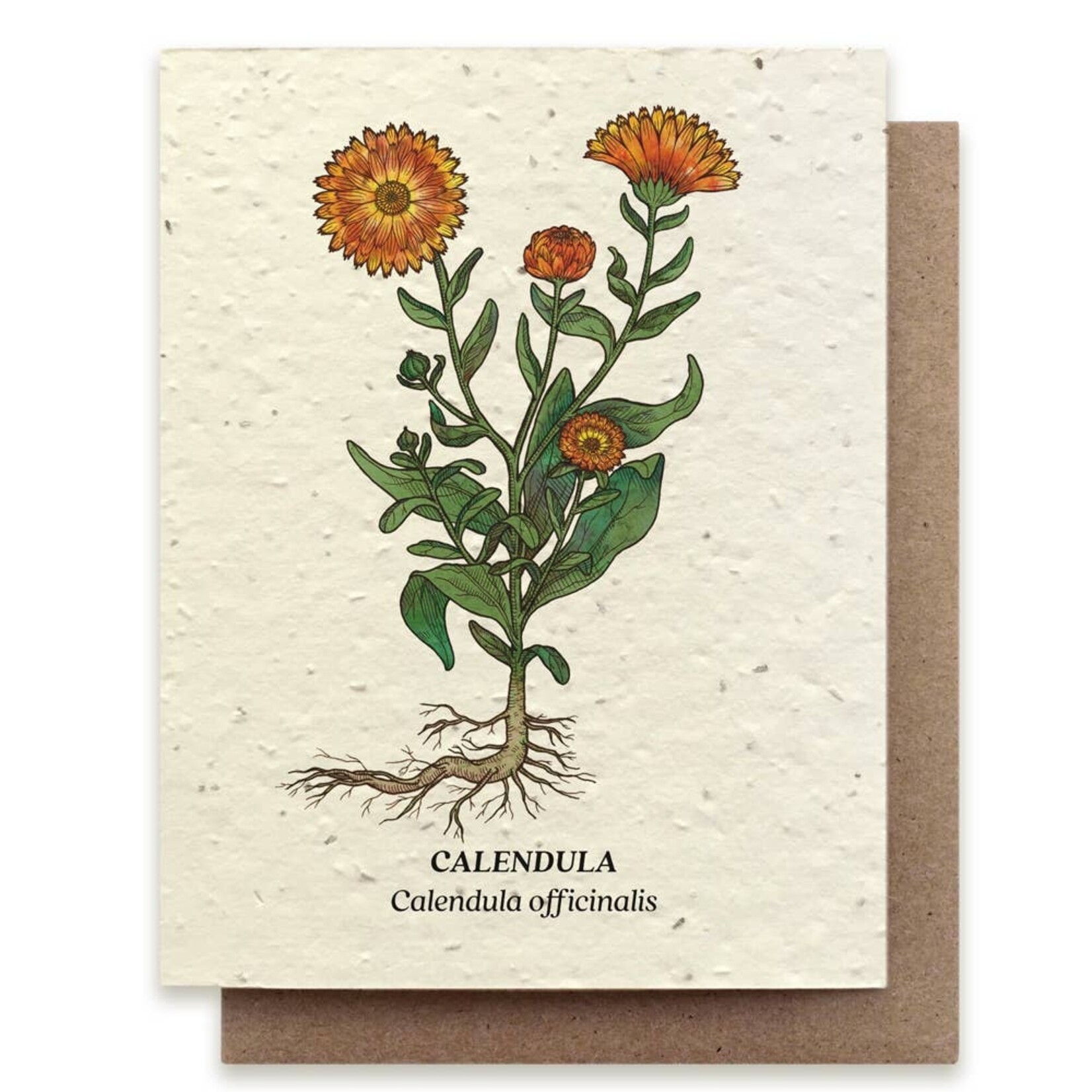 Small Victories Small Victories Calendula Plantable Wildflower Seed Card