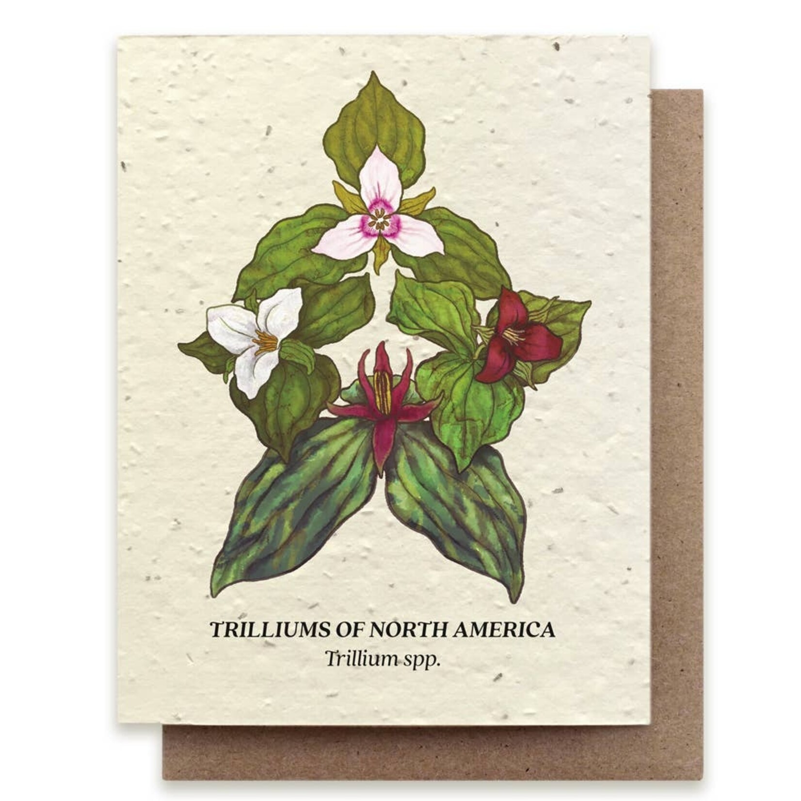 Small Victories Small Victories Trillium Compass Plantable Wildflower Seed Card
