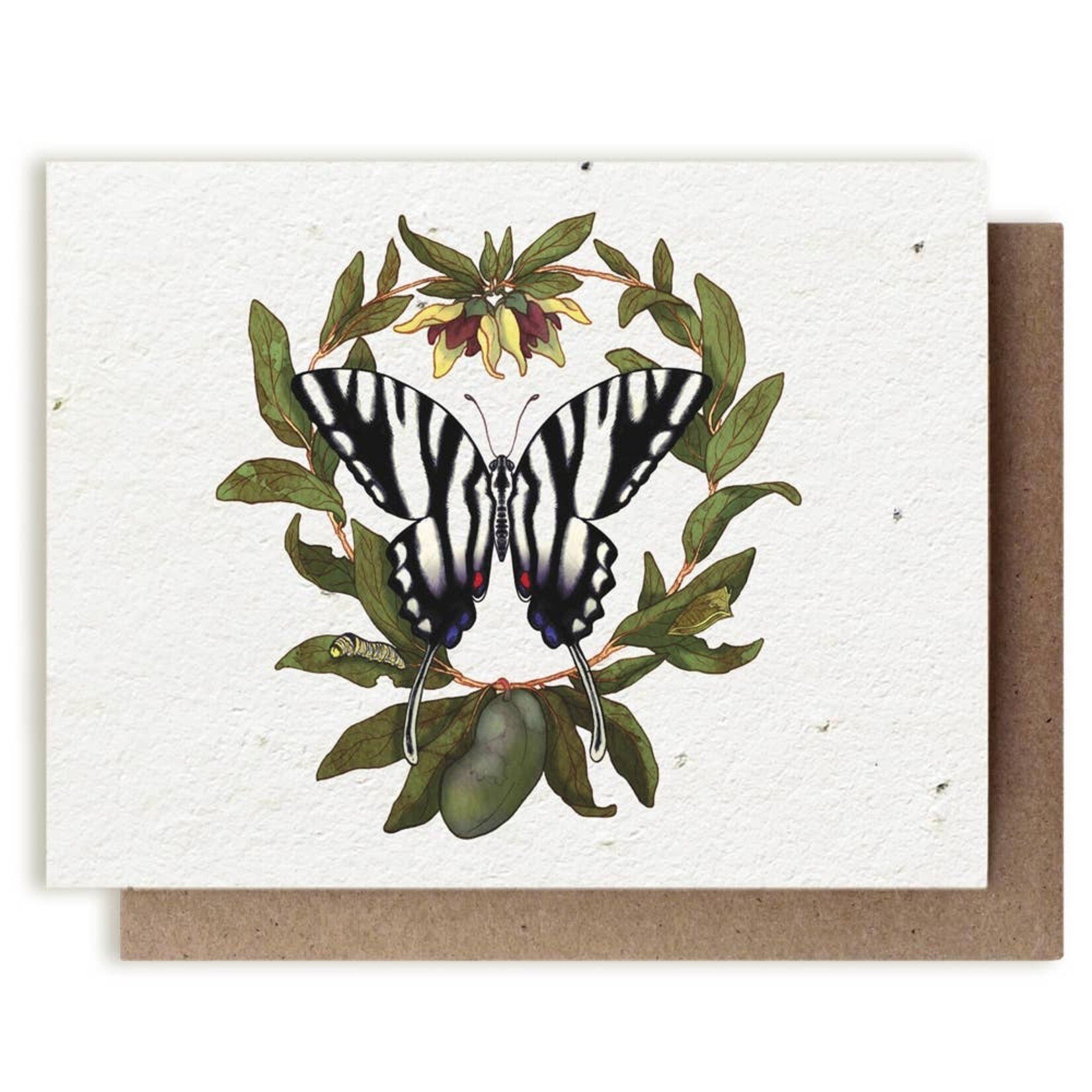 Small Victories Small Victories Zebra Swallowtail Butterfly & Pawpaw Plantable Herb Card