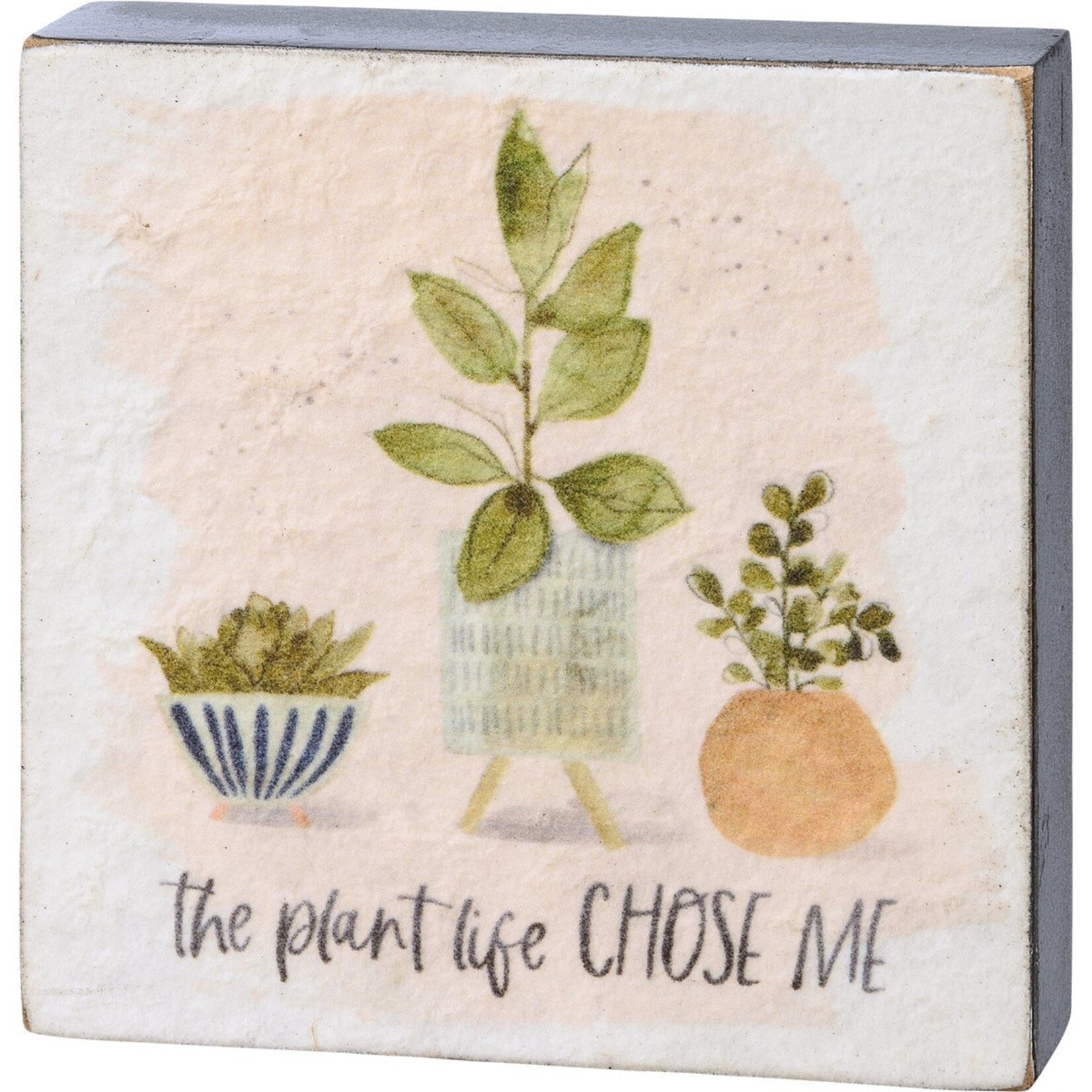 Primitives by Kathy Primitives by Kathy- Plant Life Chose Me Block Sign