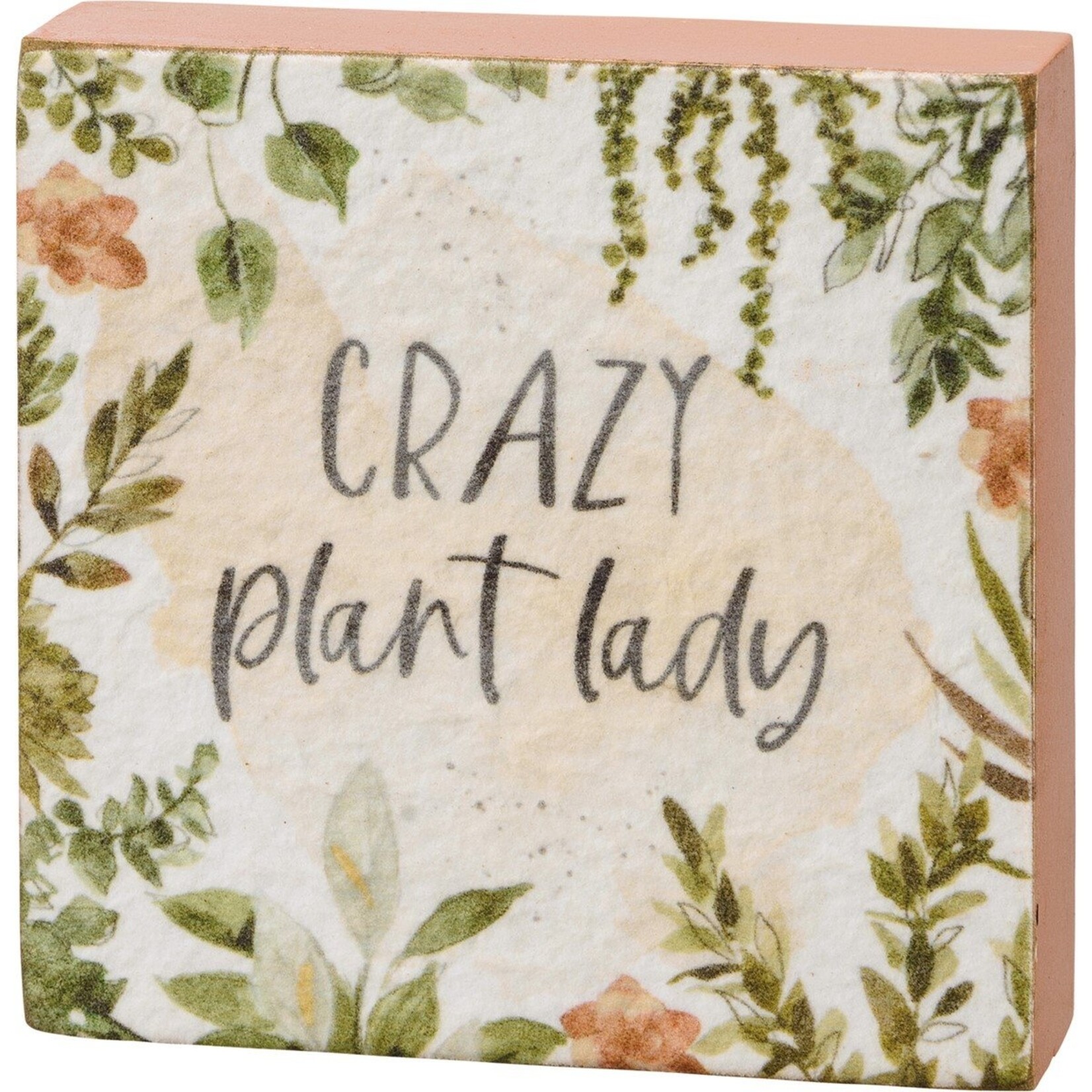 Primitives by Kathy Primitives by Kathy- Crazy Plant Lady Block Sign