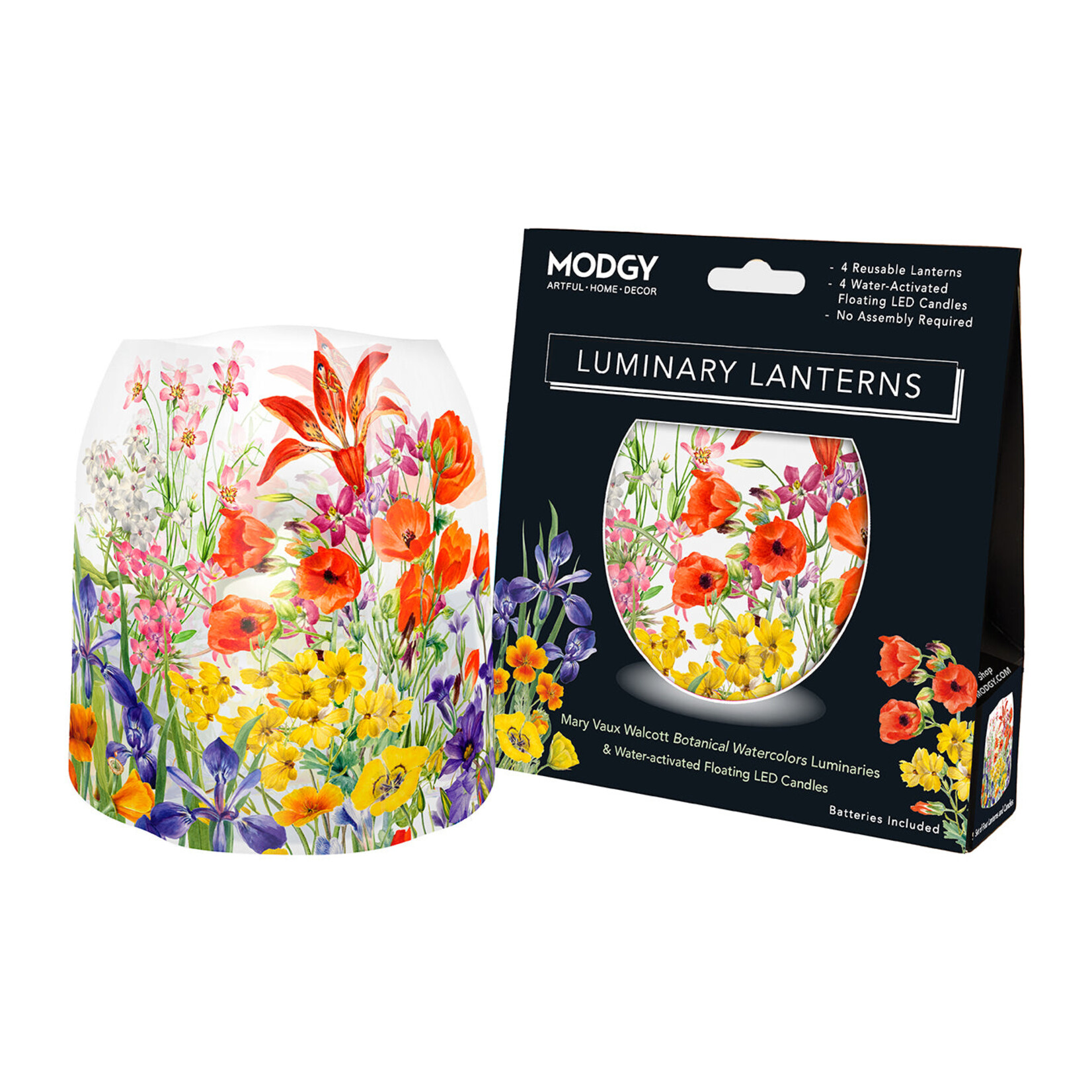 Modgy Modgy Lantern-Mary Vaux Watercolor Botanicals