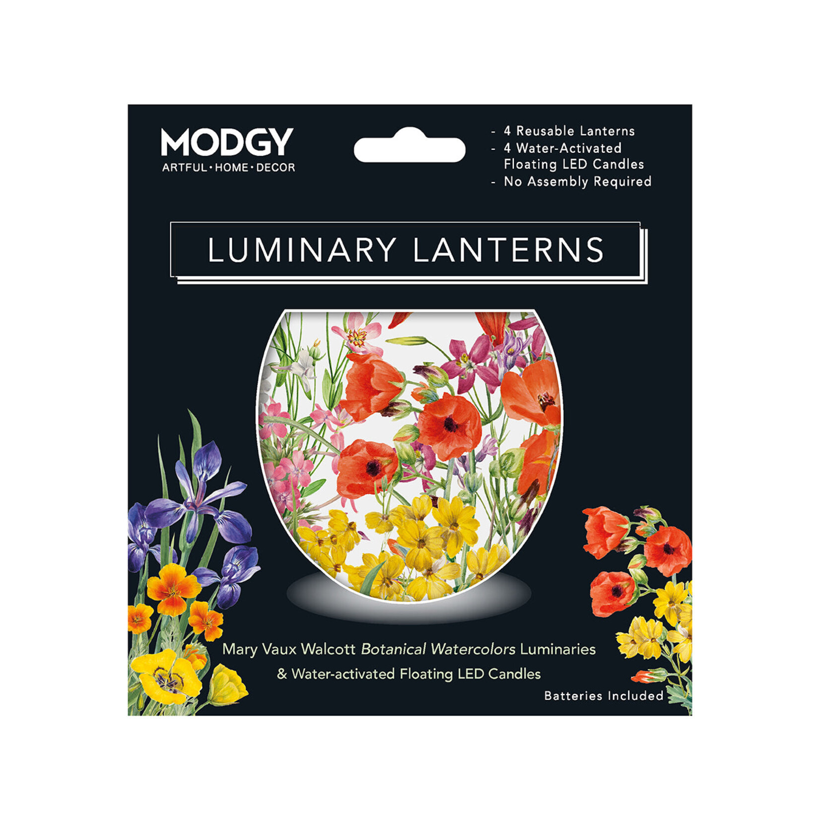 Modgy Modgy Lantern-Mary Vaux Watercolor Botanicals