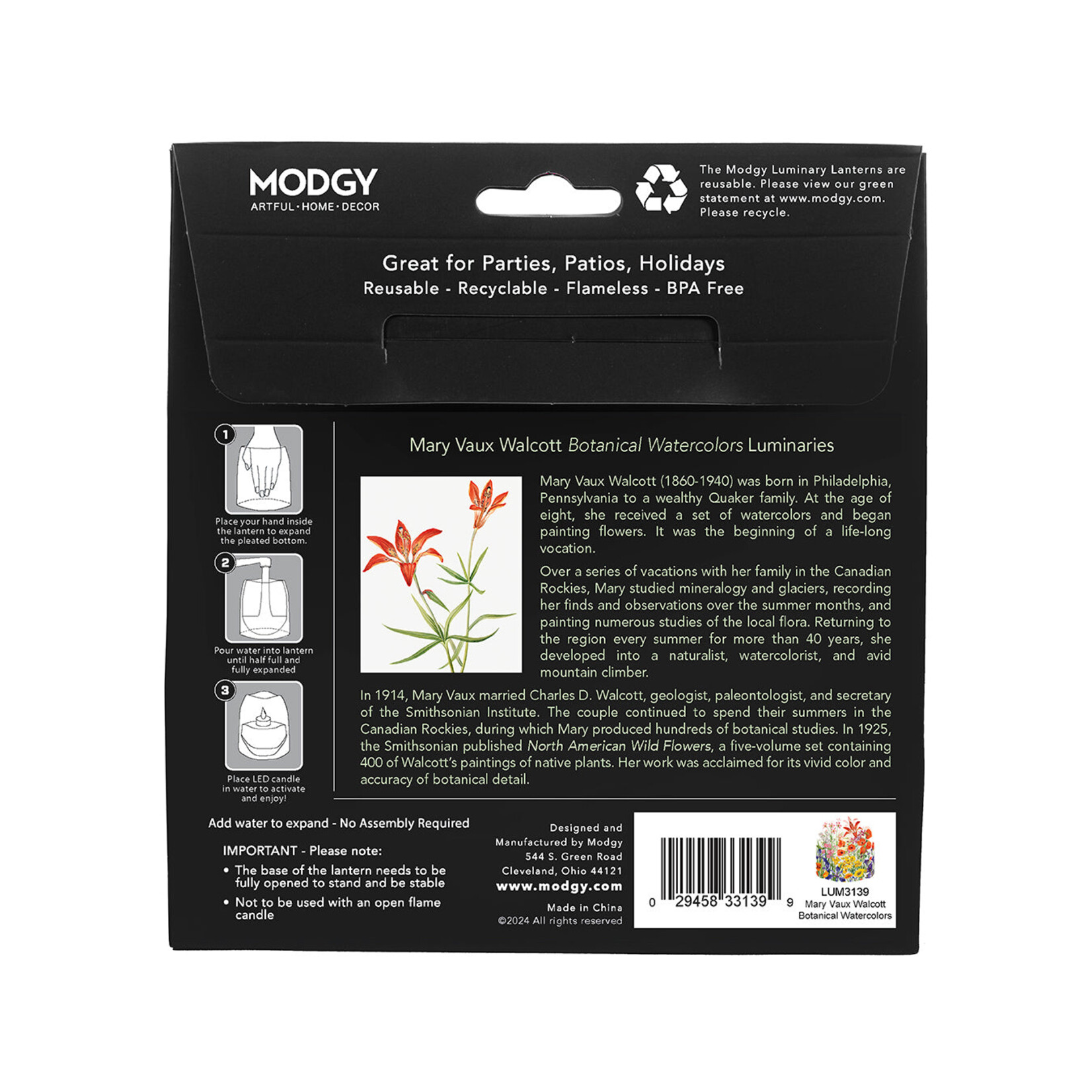 Modgy Modgy Lantern-Mary Vaux Watercolor Botanicals