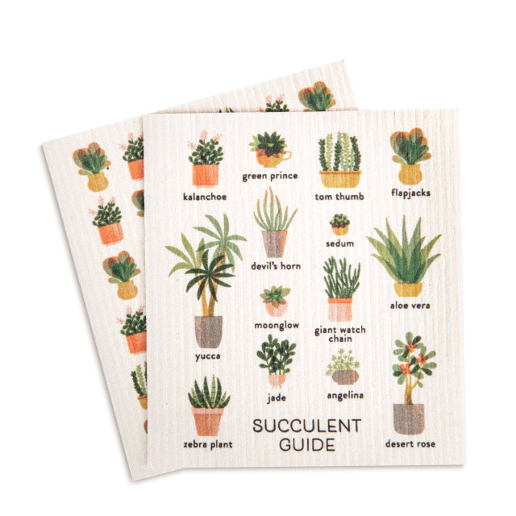 Demdaco Demdaco-Biodegradable Dish Cloths Set of 2 - Succulent Guide