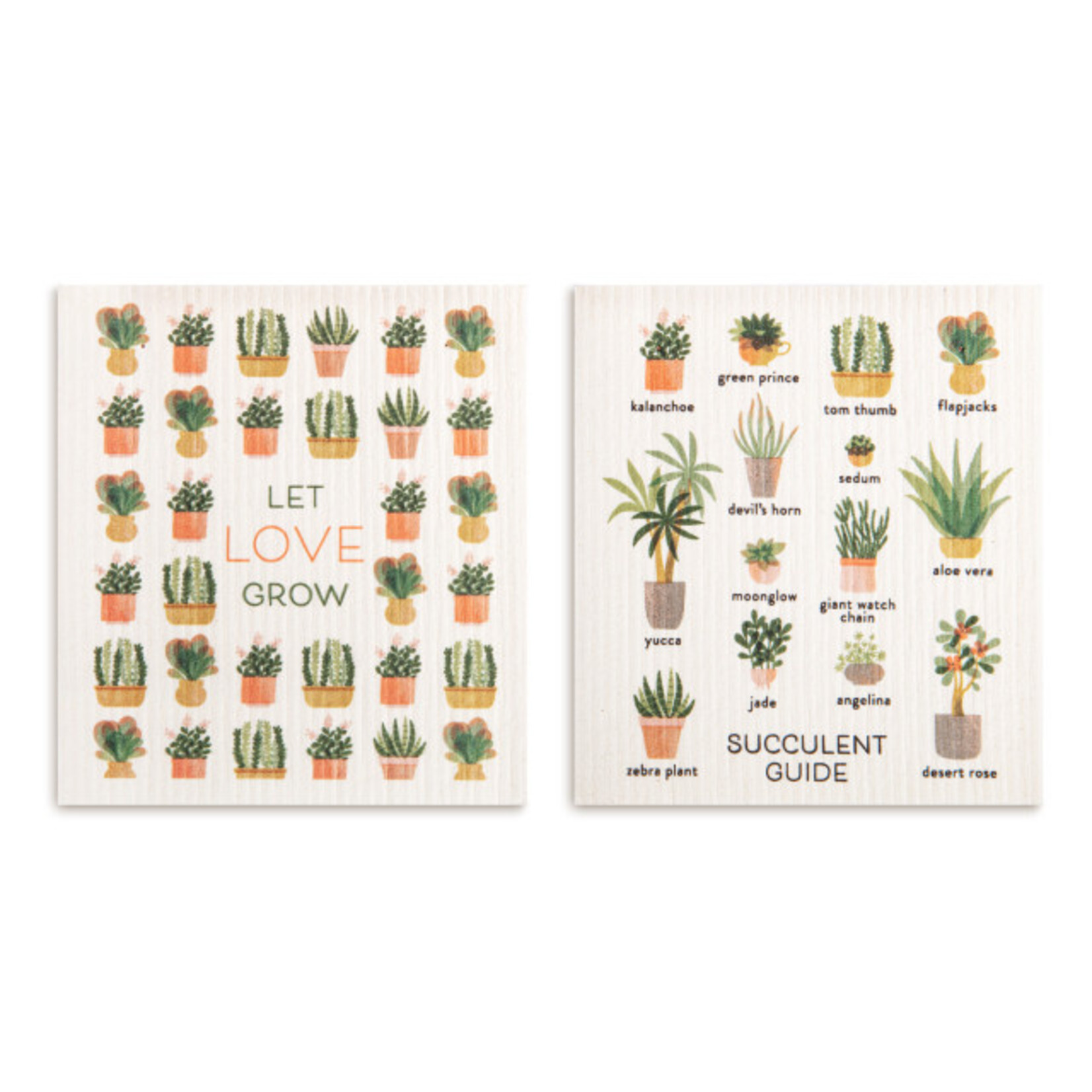 Demdaco Demdaco-Biodegradable Dish Cloths Set of 2 - Succulent Guide