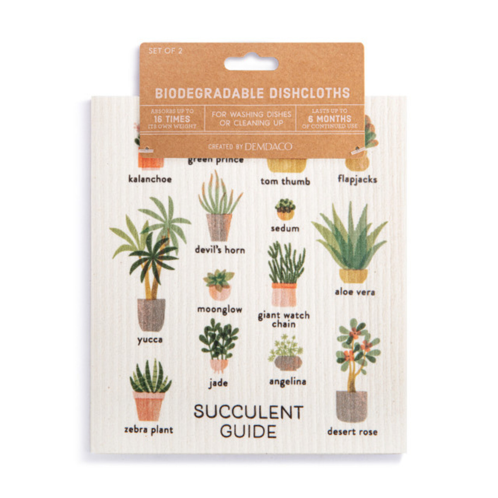 Demdaco Demdaco-Biodegradable Dish Cloths Set of 2 - Succulent Guide