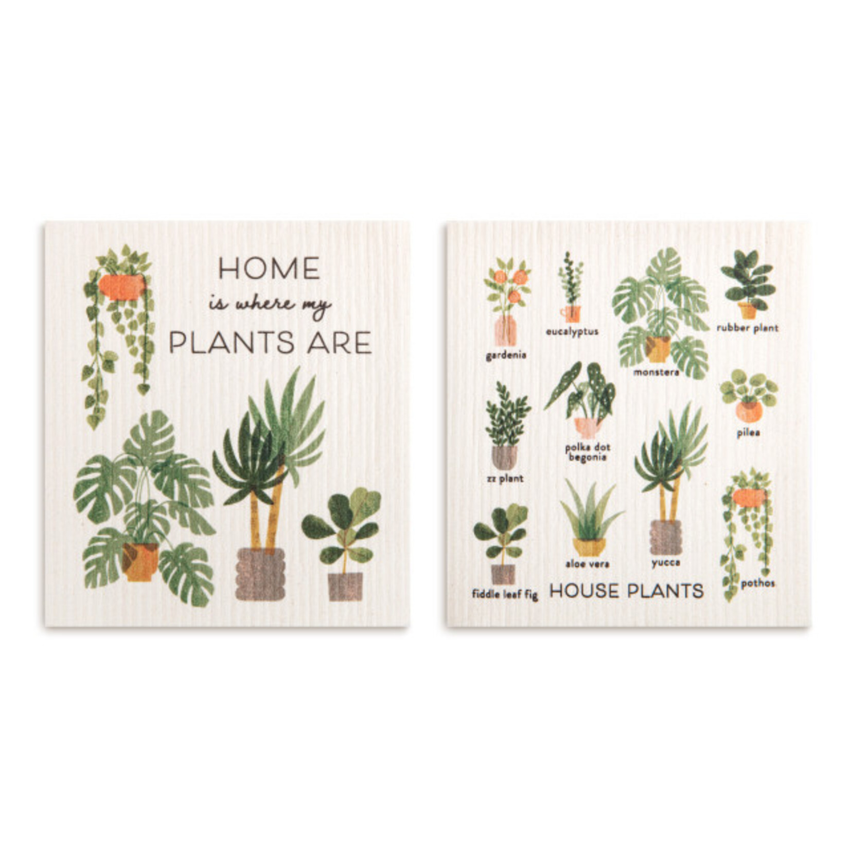 Demdaco Demdaco-Biodegradable Dish Cloths Set of 2 - House Plants