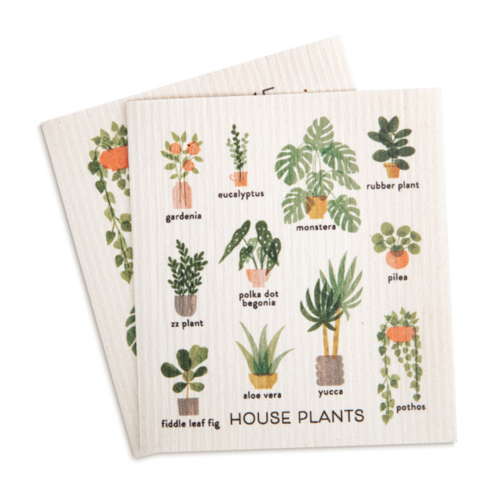 Demdaco Demdaco-Biodegradable Dish Cloths Set of 2 - House Plants