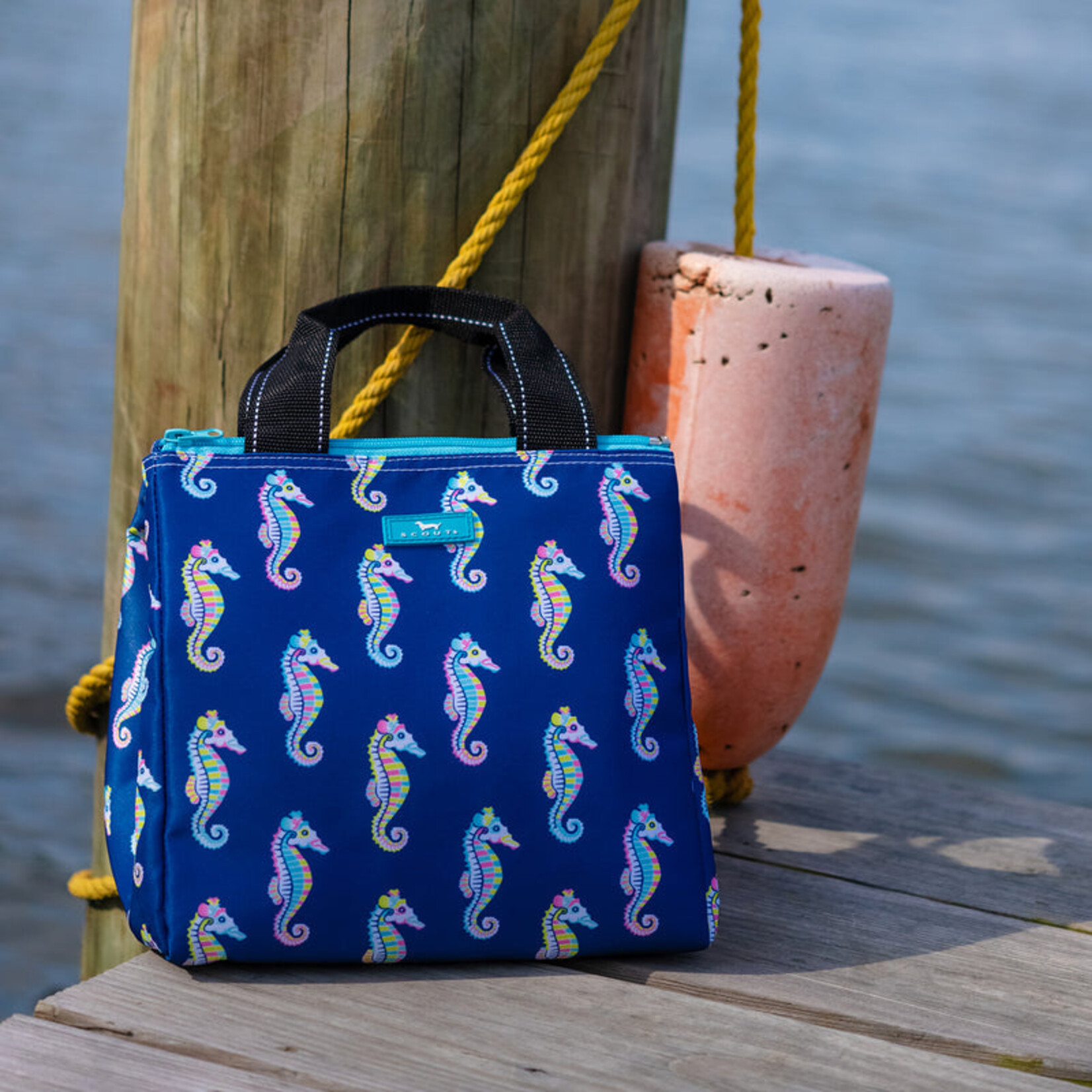 Scout Scout Eloise | Sea Biscuit