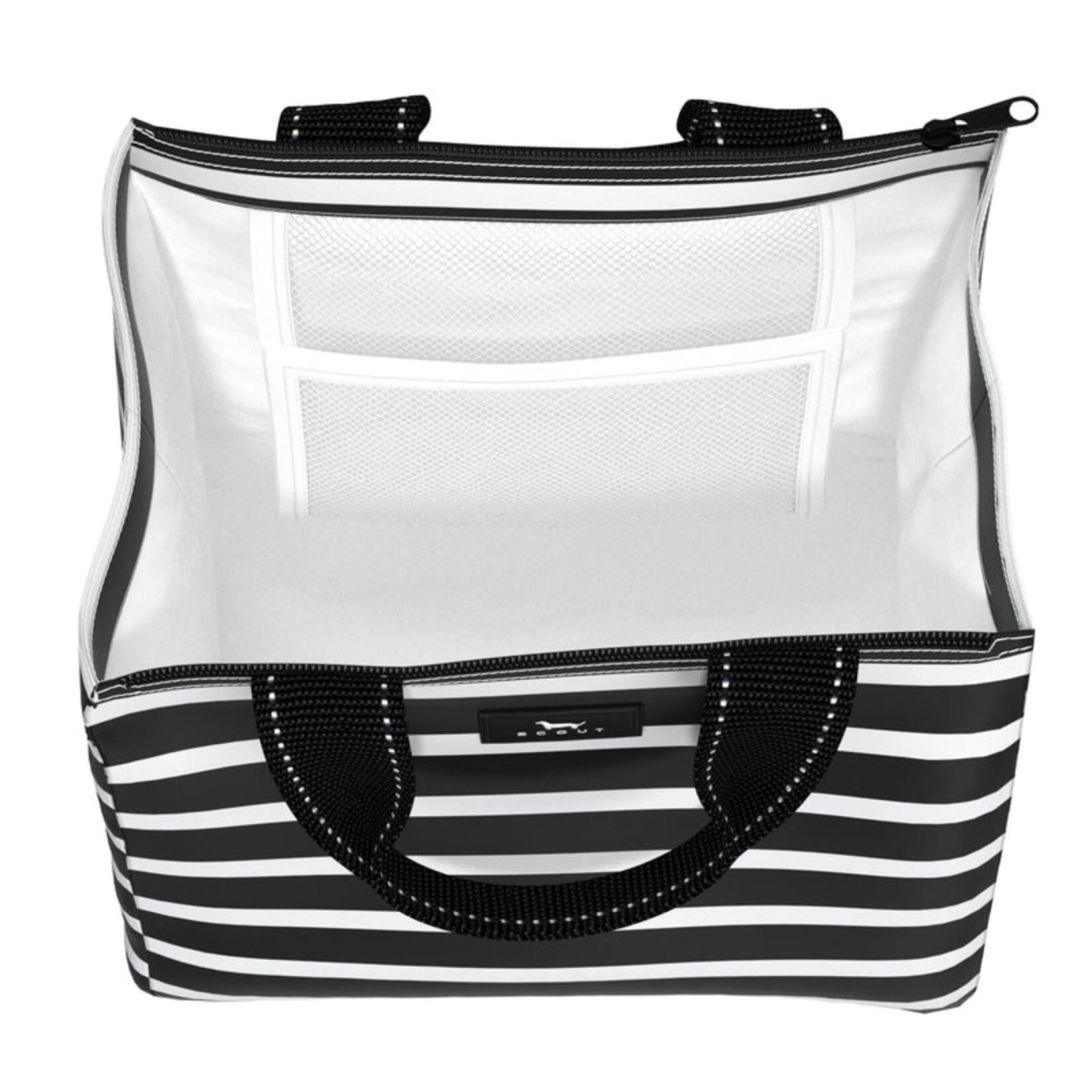 Scout Scout Eloise | Sea Biscuit