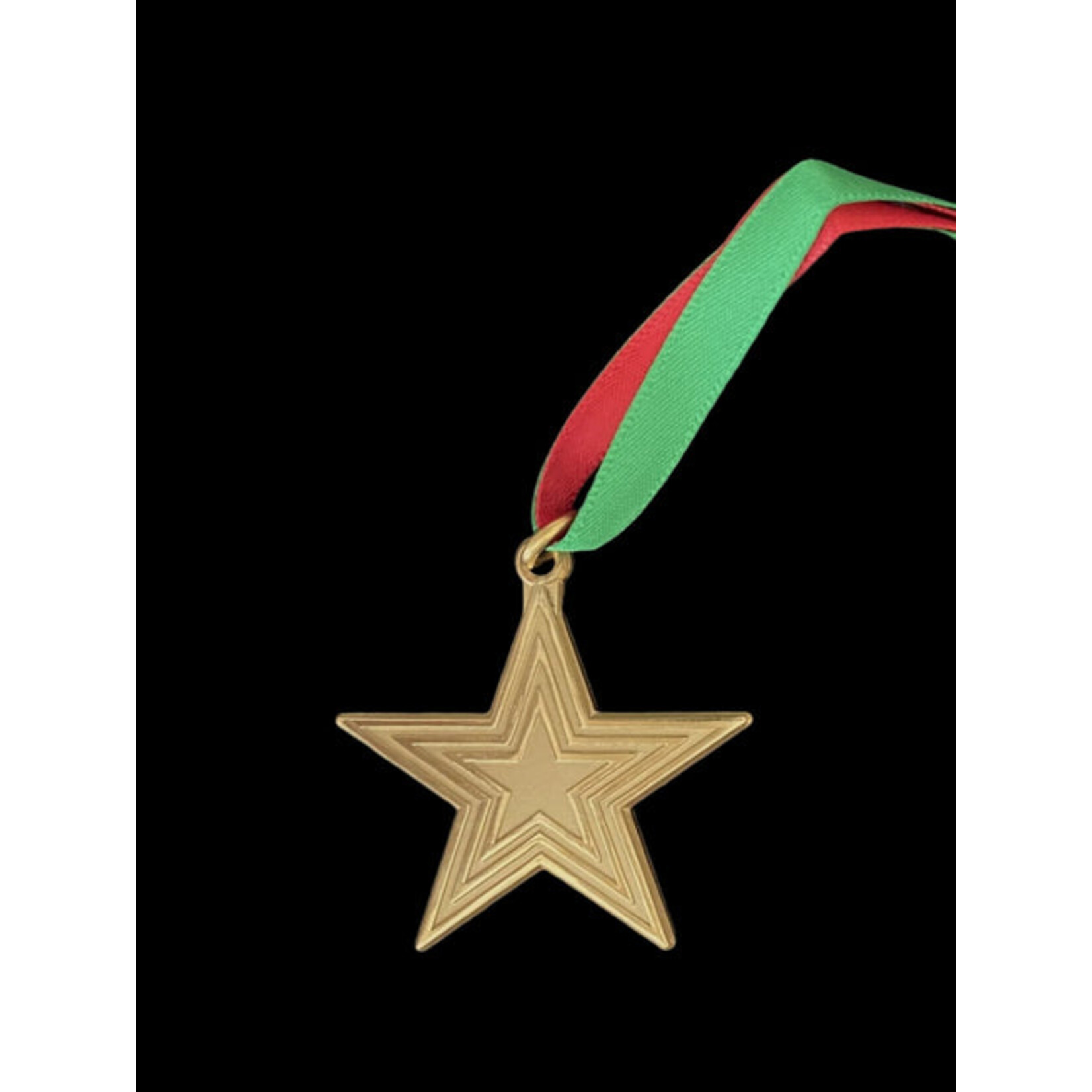 BT Enterprises VA Ornament Company-Mill Mountain Star Ornament