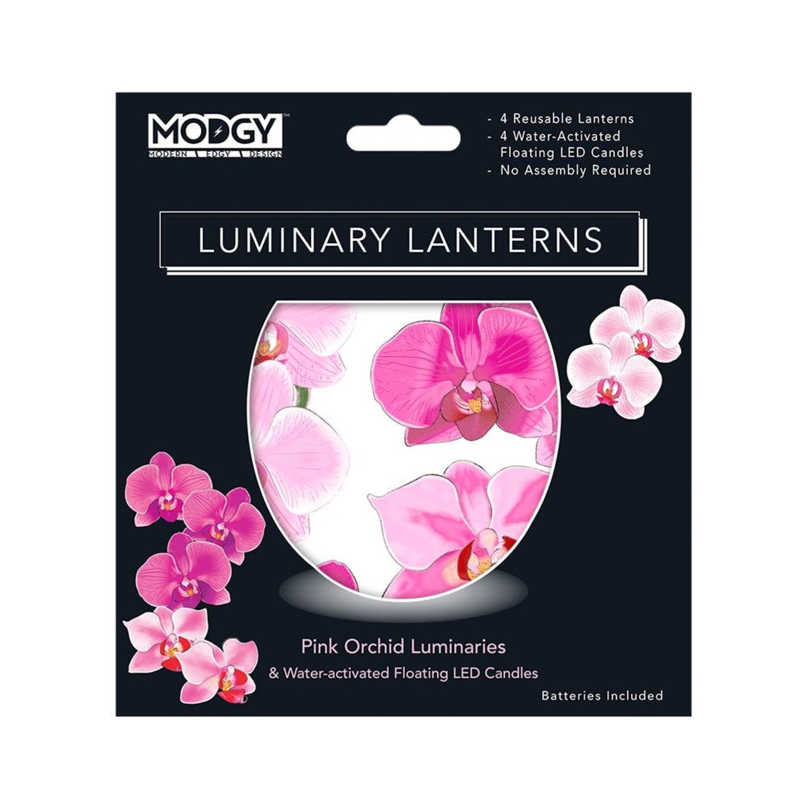 Modgy Modgy Lantern Pink  Orchid