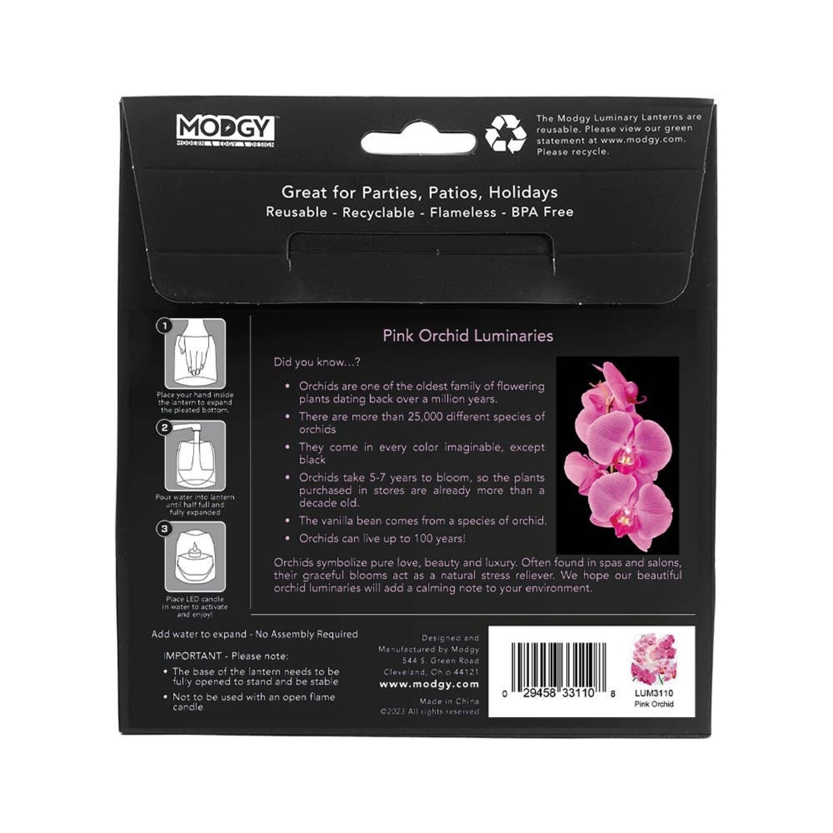 Modgy Modgy Lantern Pink  Orchid