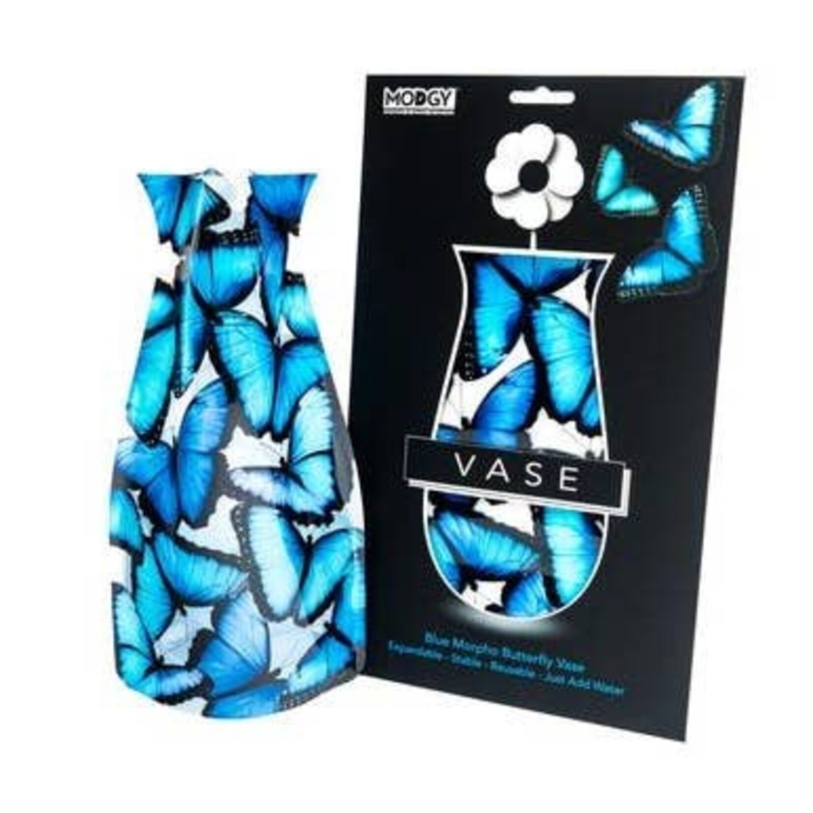 Modgy Modgy Vase-Blue Morpho Butterfly