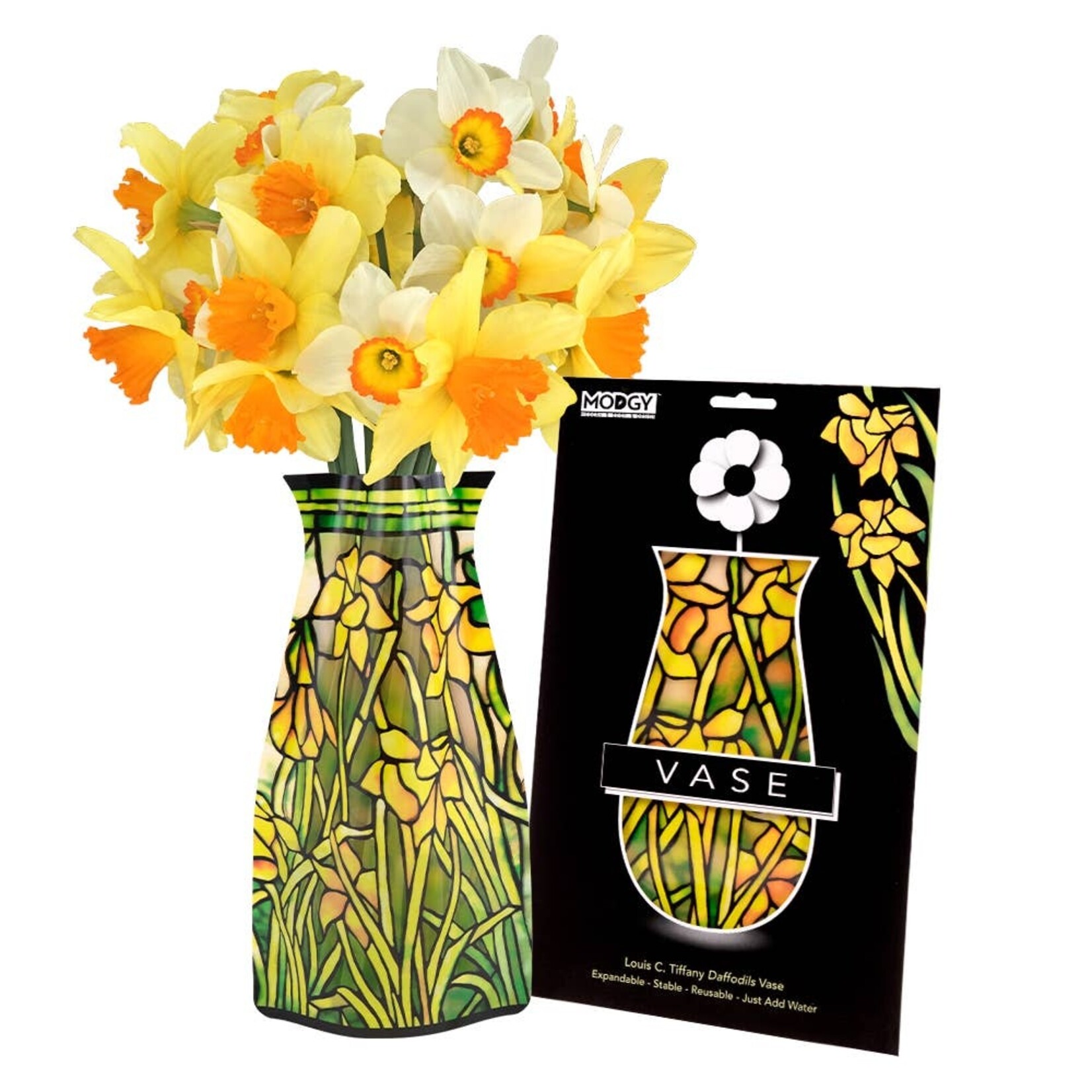 Modgy Modgy Vase Daffodils