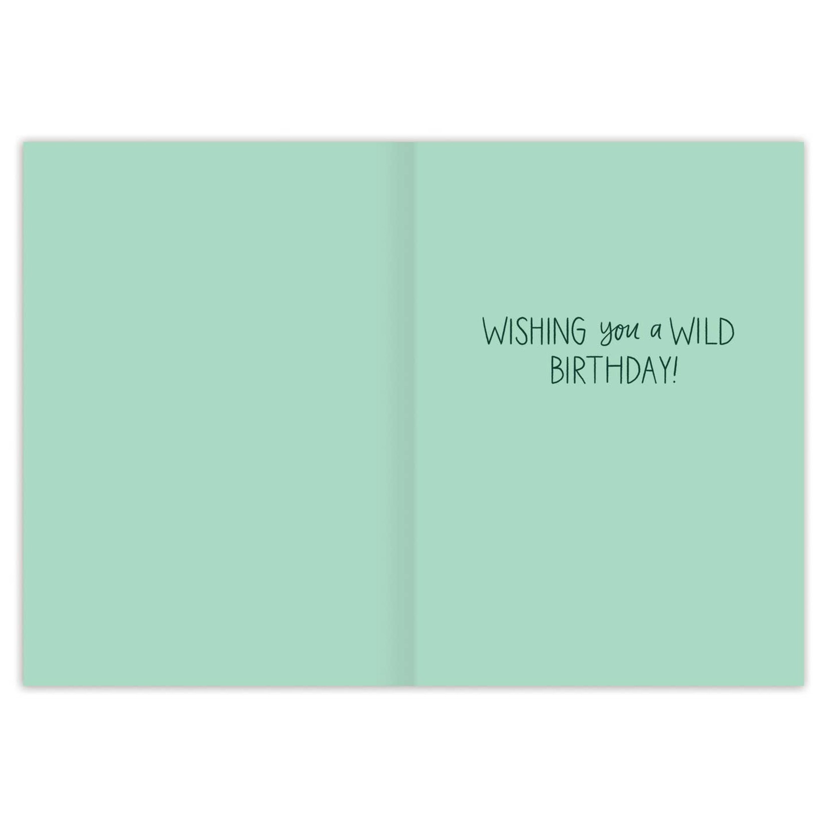 Biely & Shoaf Biely & Shoaf-Great Adventure Birthday Card