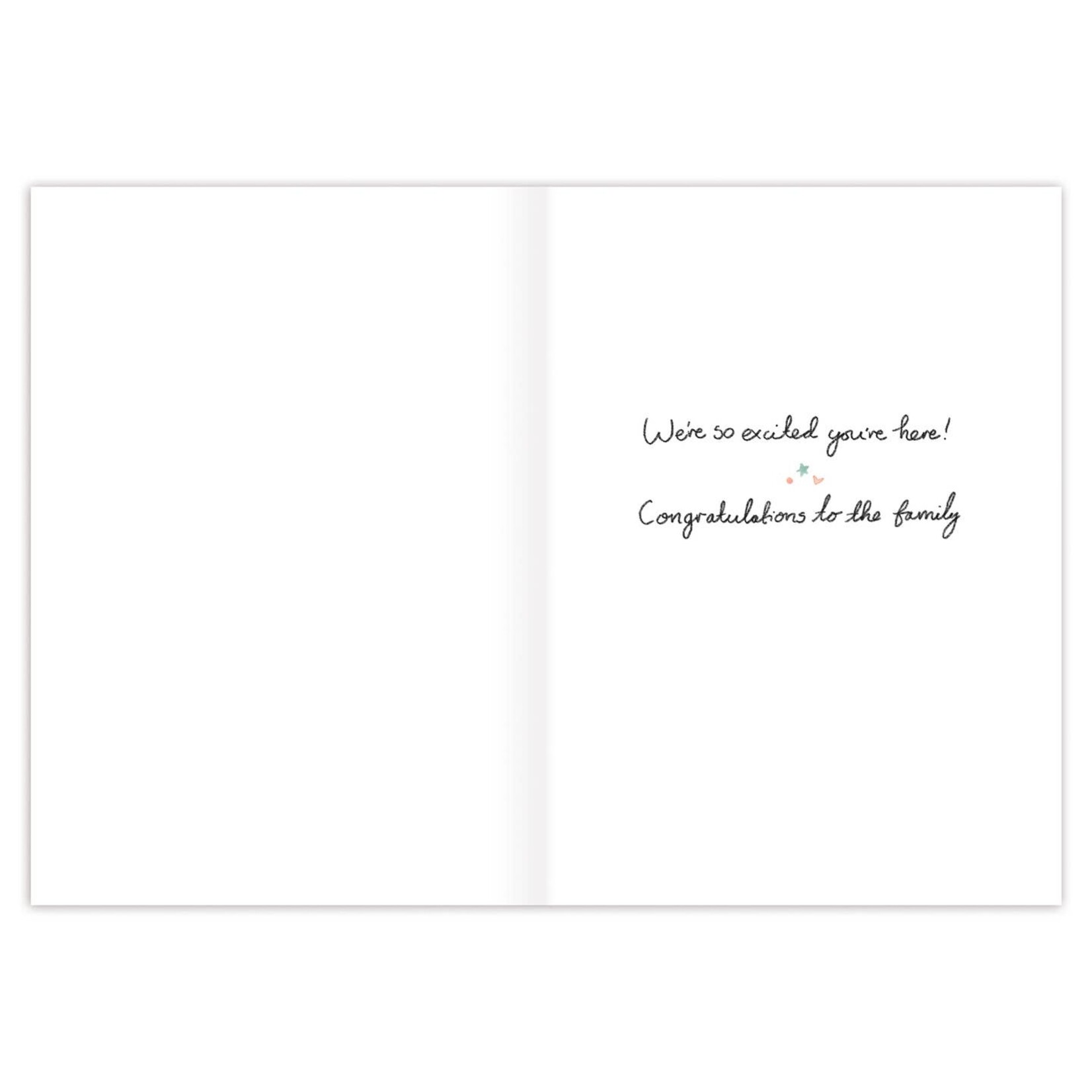 Biely & Shoaf Biely & Shoaf-Clothesline Baby Card