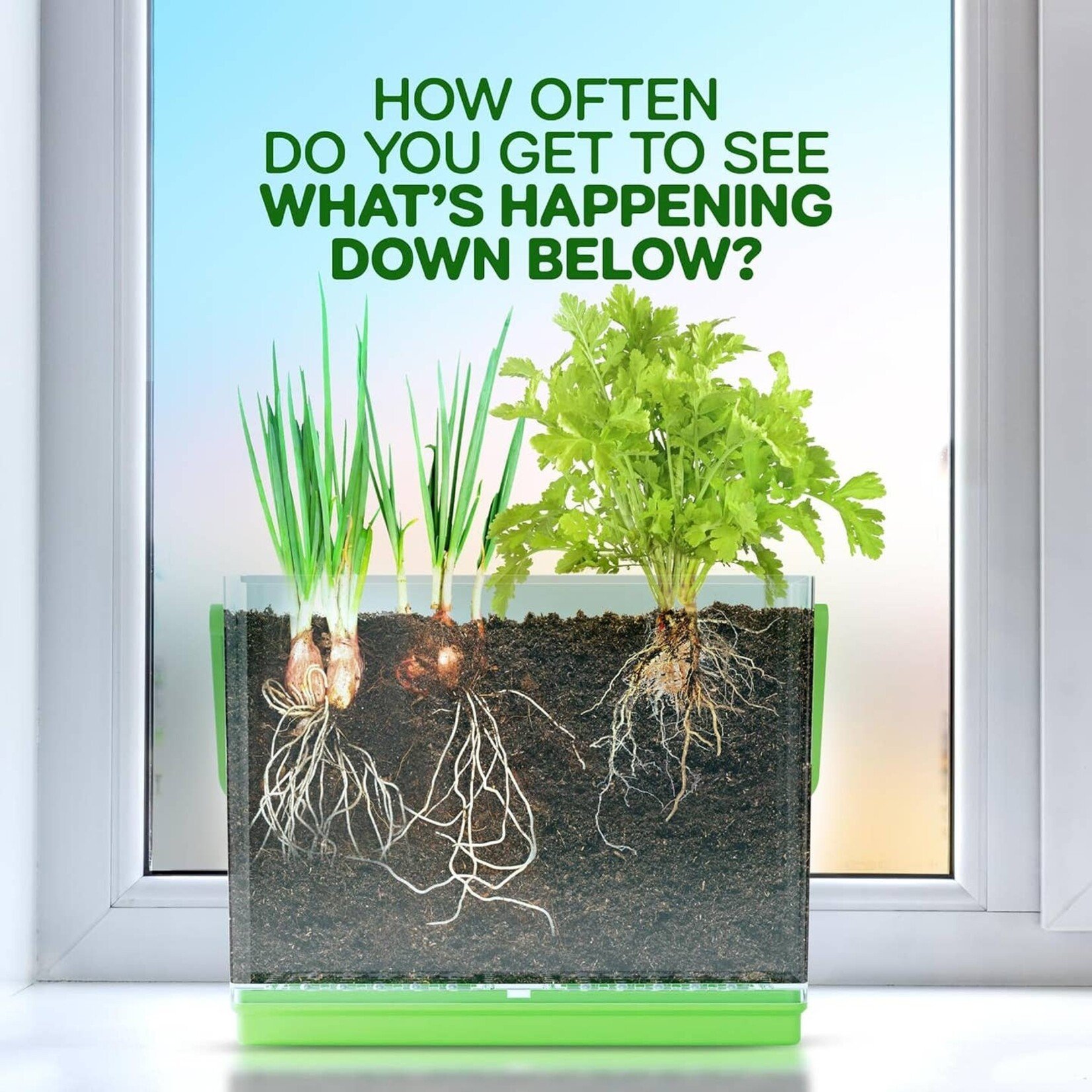 Dan & Darci Dan & Darci-Root Viewer Kit For Kids