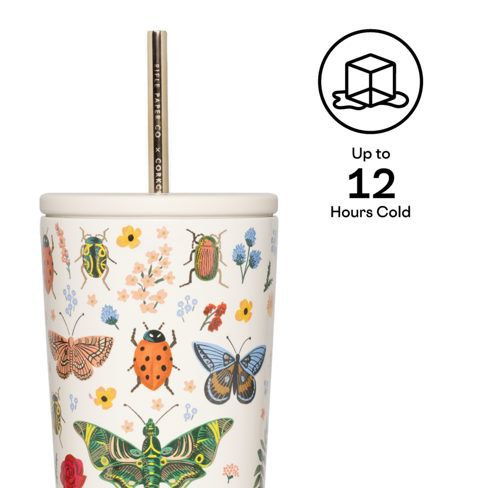 Corkcicle Corkcicle Cold Cup 24oz Curio Cream