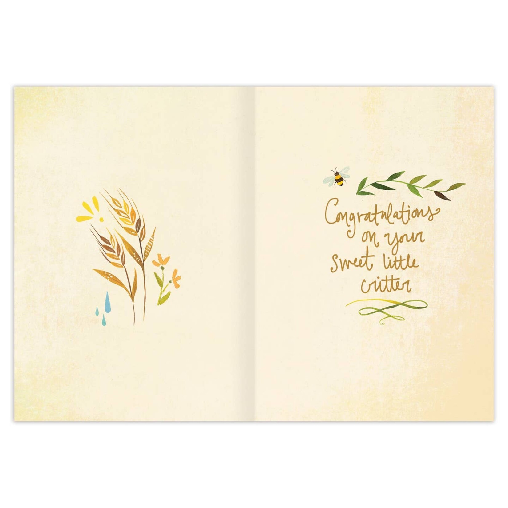 Biely & Shoaf Beily & Shoaf-Whole Universe New Baby Card