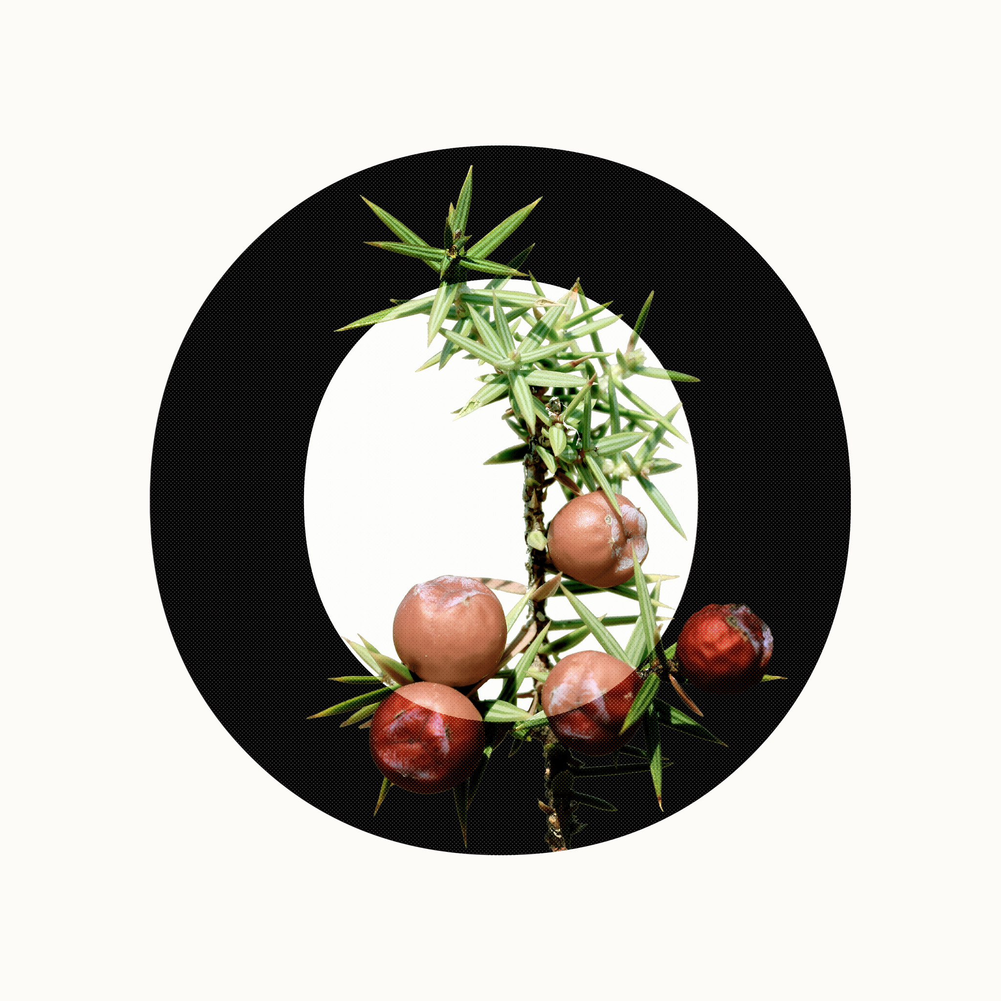 Souvenir des bois | Concentrated essence for scenting laundry and household soaps