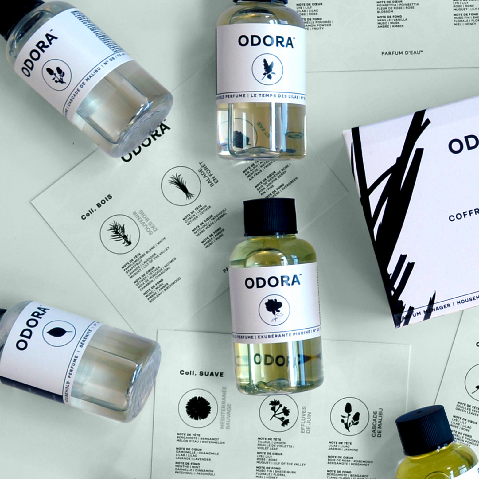 Coll. Fine | Fraîche, Florale, Sucrée