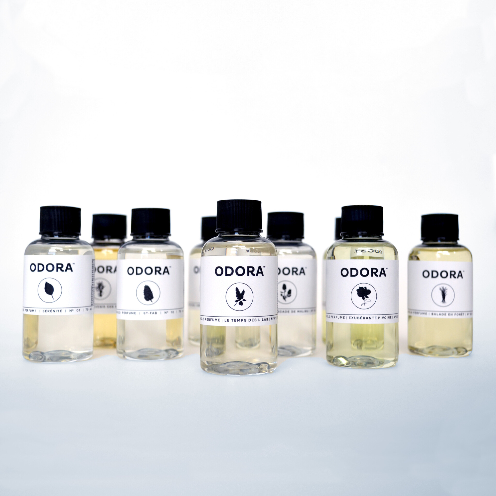 Coll. Suave | Musquée, Sucrée, Poudrée