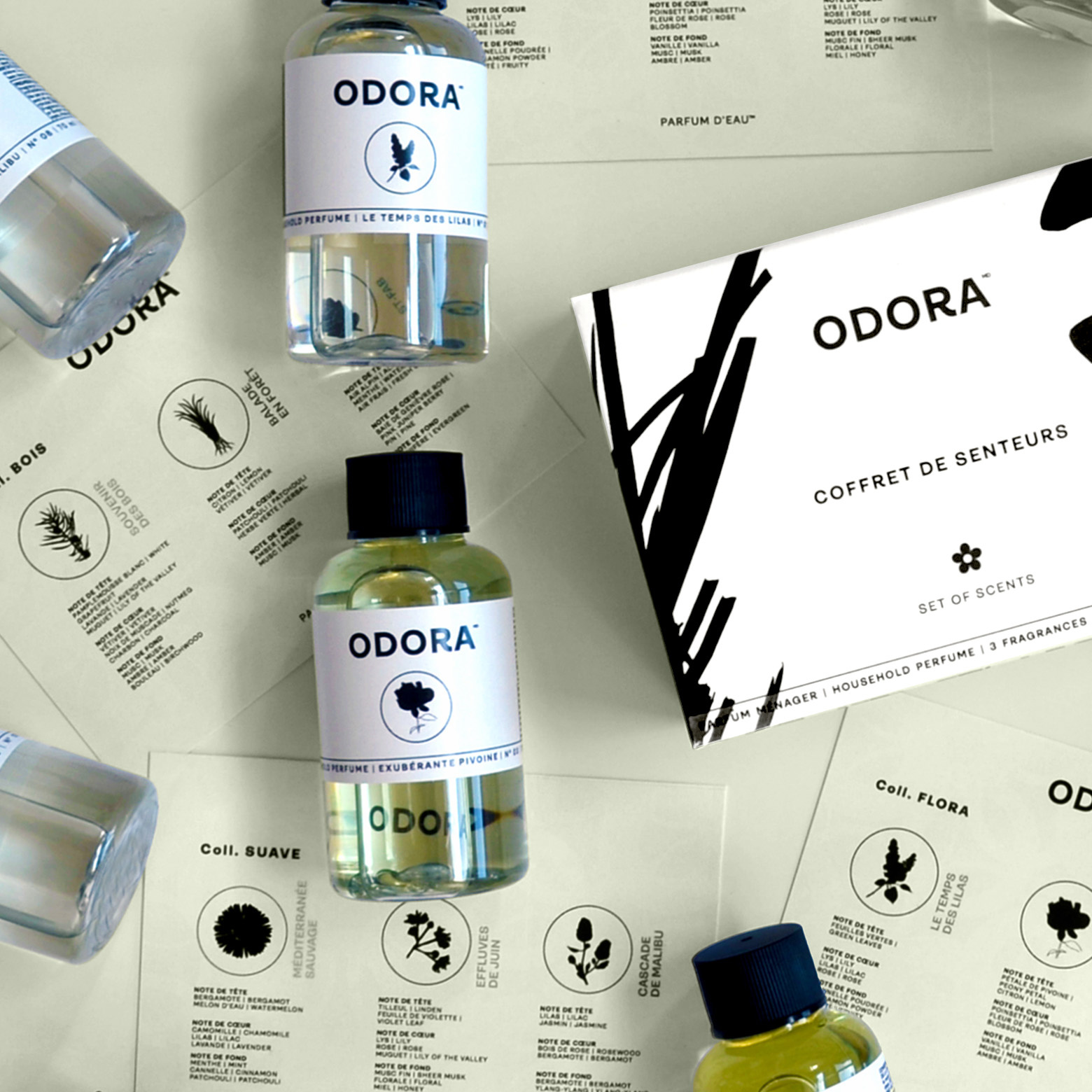 Coll. Suave | Musquée, Sucrée, Poudrée