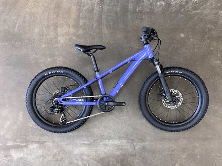 Giant Liv STP 20 Giant Liv STP 20