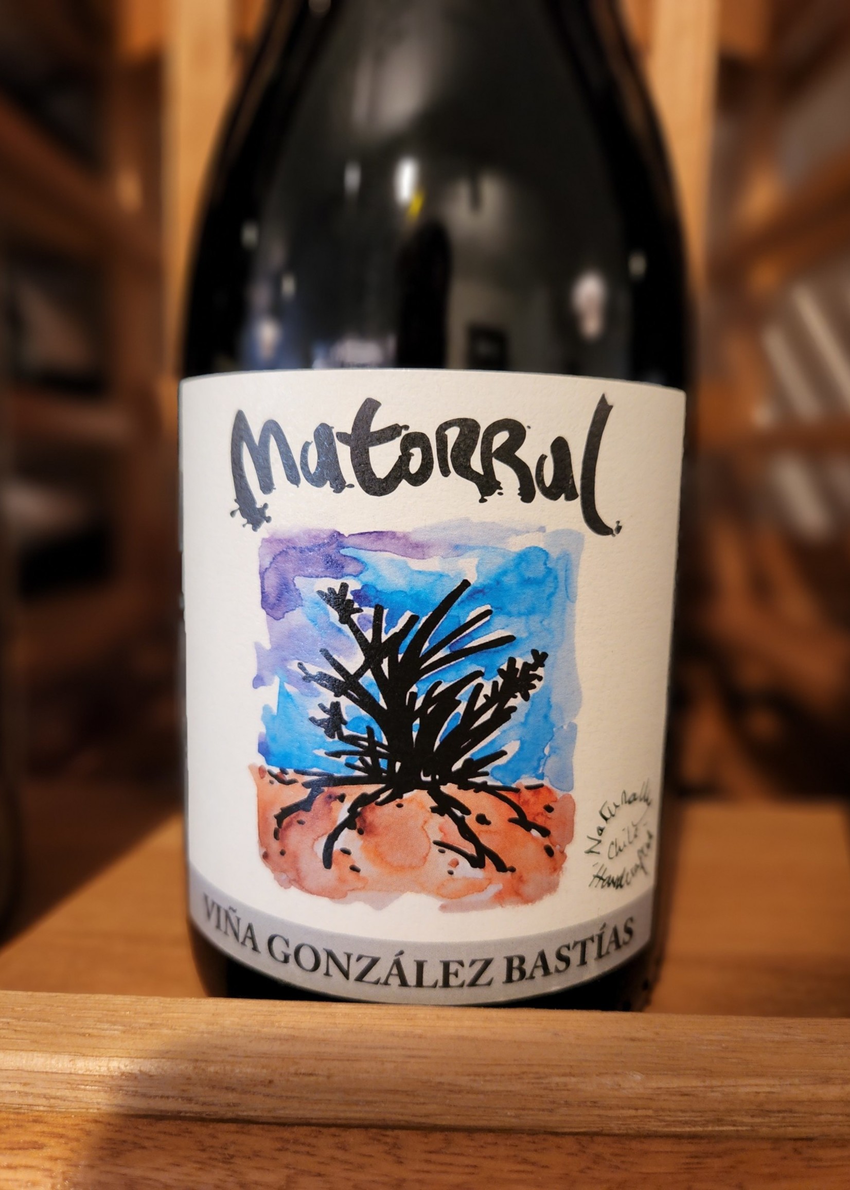 Gonzalez Bastias "Matorral" Maule Pais 2019