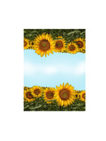 Alphie and Ollie sunflower kitchen towel 18 x 24 inches flour sack material