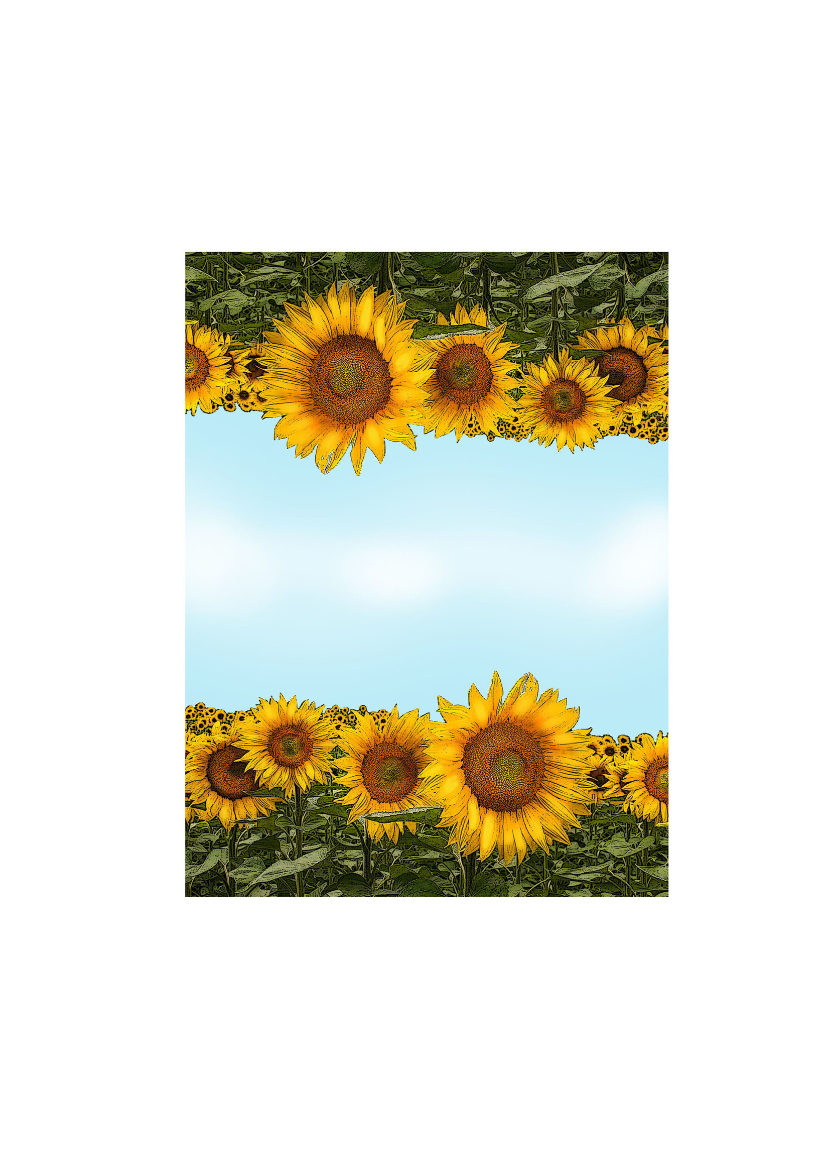 Alphie and Ollie sunflower kitchen towel 18 x 24 inches flour sack material