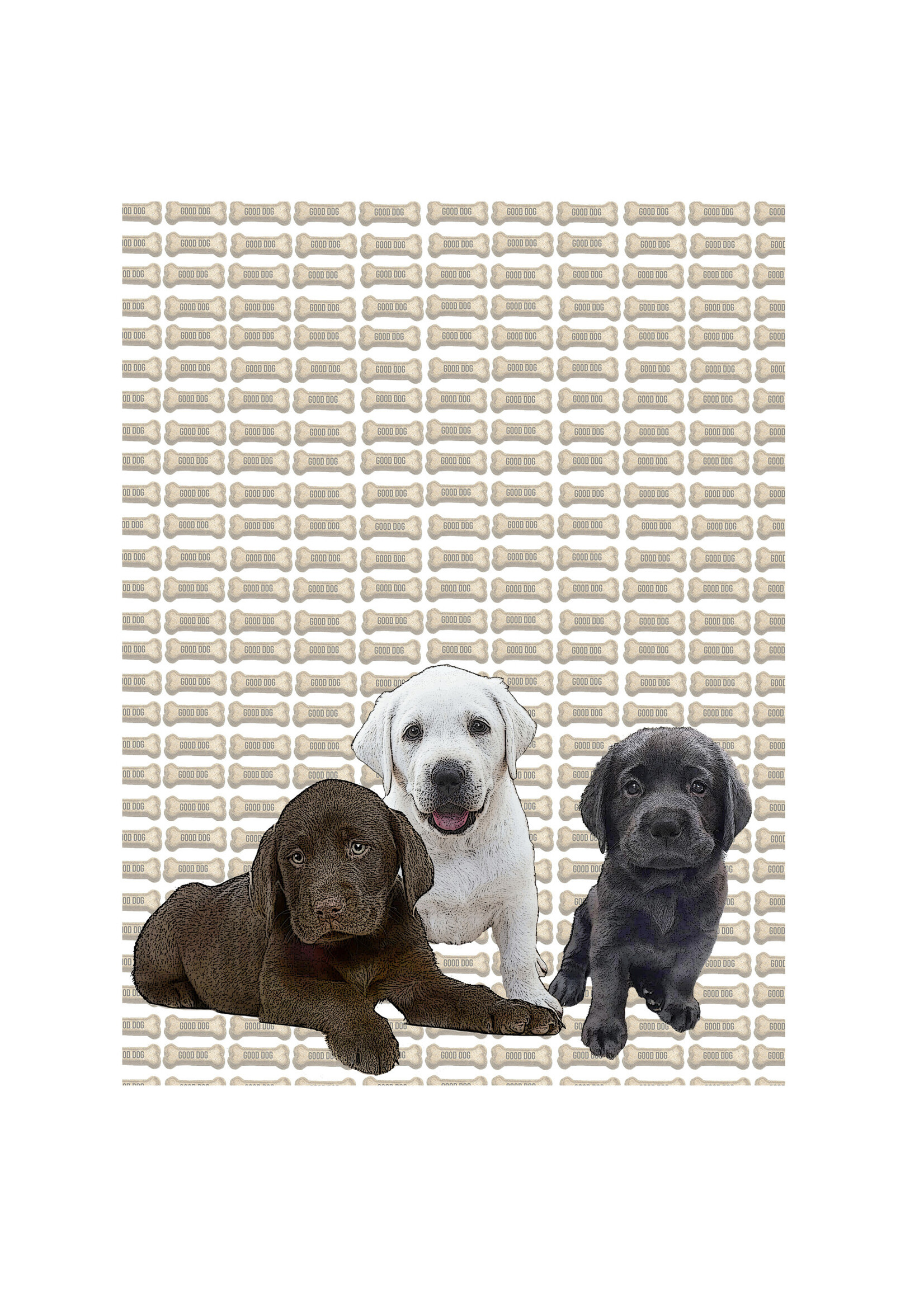 Alphie and Ollie Lab puppies kitchen towel 18 x 24 inches flour sack material