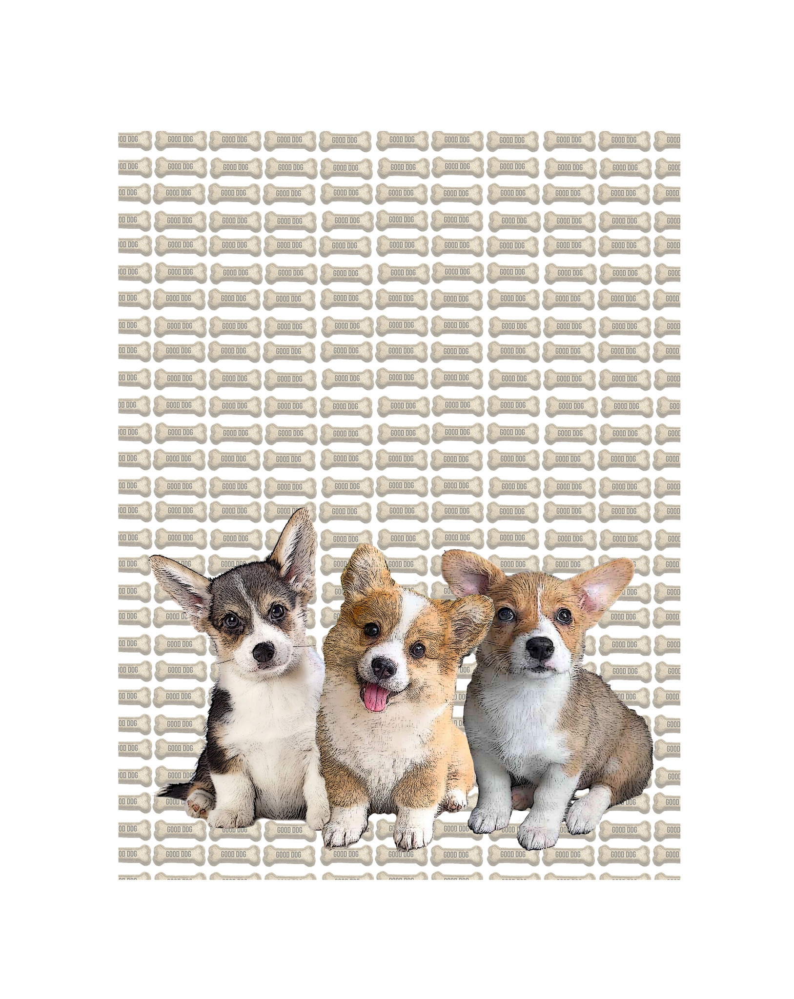 Corgi towel hot sale