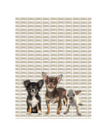 Alphie and Ollie chihuahua puppies kitchen towel 18 x 24 inches flour sack material