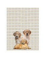 Alphie and Ollie Retreiver puppy kitchen towel 18 x 24 inches floursack material