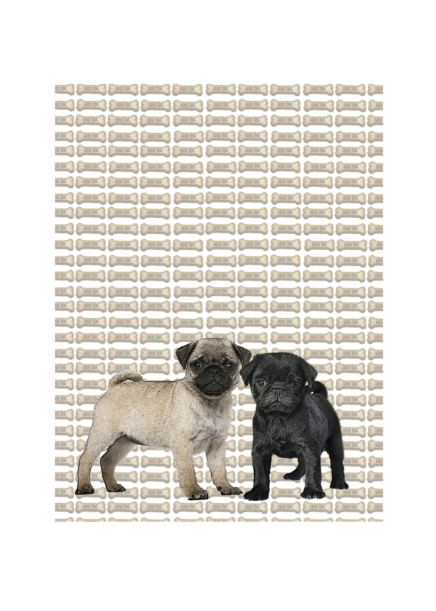 Alphie and Ollie pug puppy kitchen towel 18 x 24 inches flour sack material