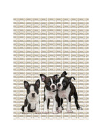 Alphie and Ollie boston terrier puppy kitchen towel 18 x 24 inches flour sack material