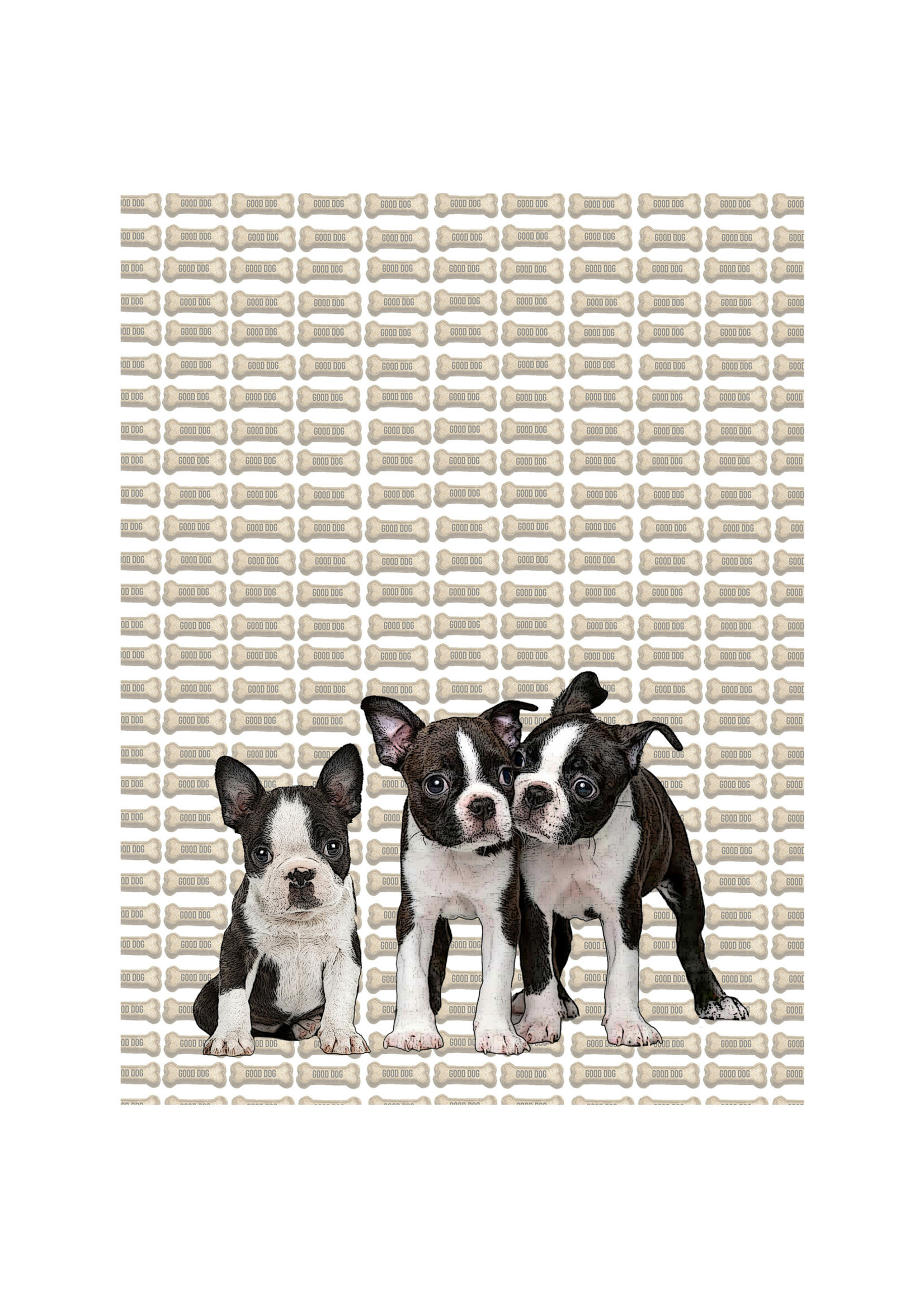Alphie and Ollie boston terrier puppy kitchen towel 18 x 24 inches flour sack material
