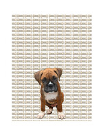 Alphie and Ollie boxer puppy kitchen towel 18 x 24 inches flour sack material