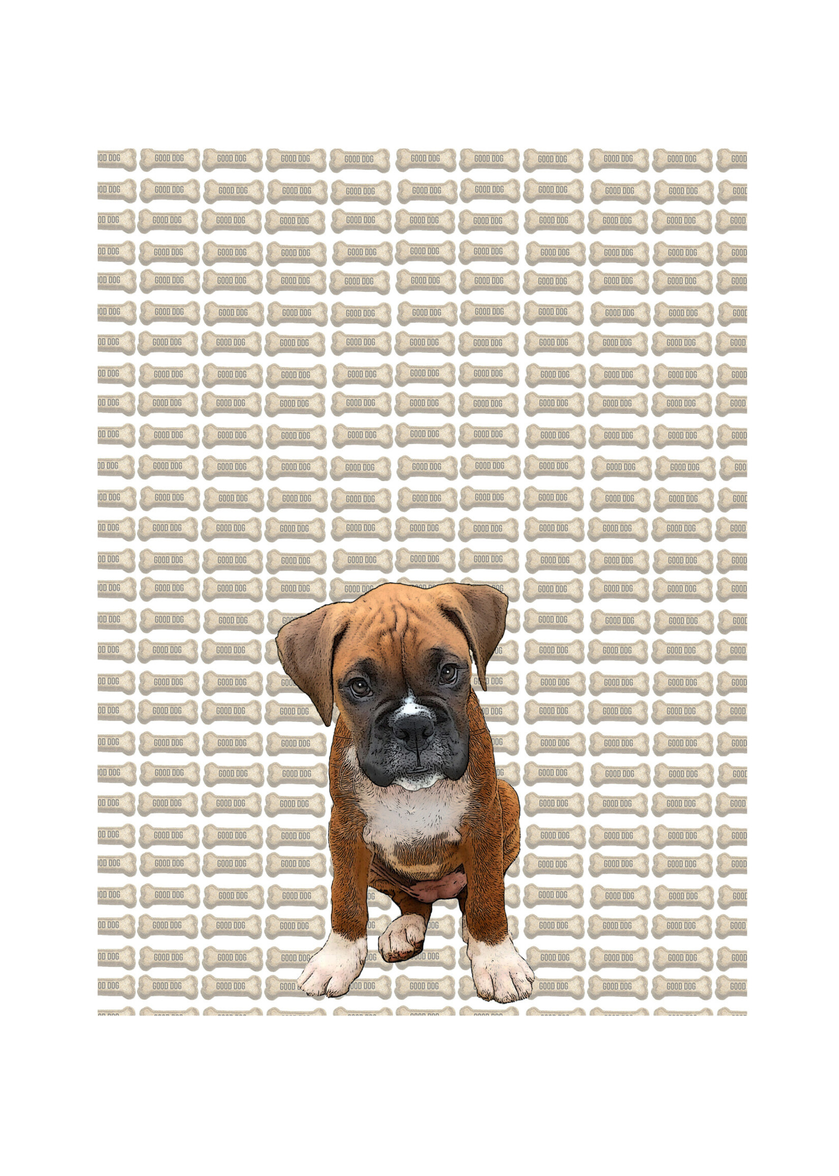Alphie and Ollie boxer puppy kitchen towel 18 x 24 inches flour sack material