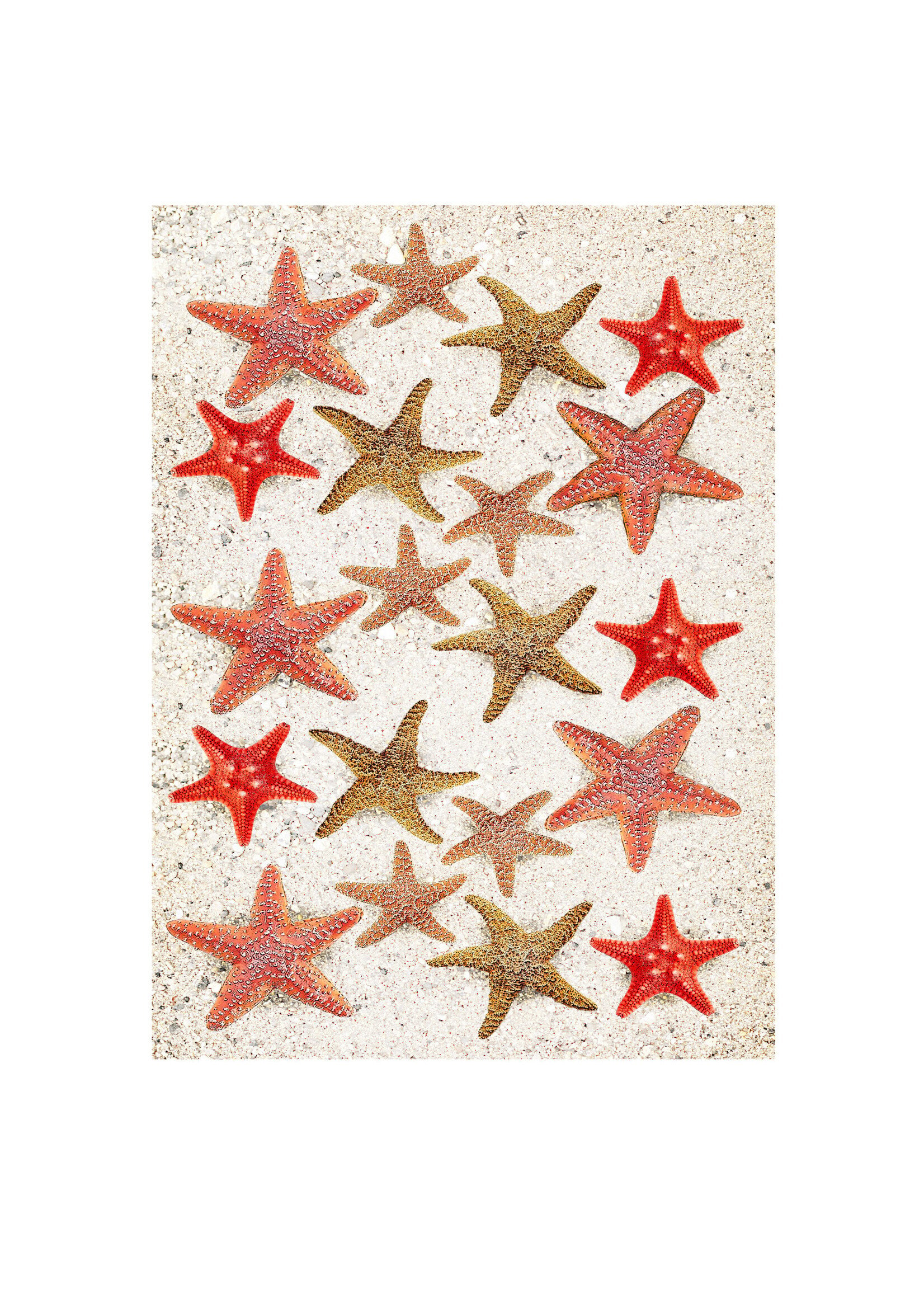 Alphie and Ollie starfish kitchen towel 18 x 24 inches flour sack material