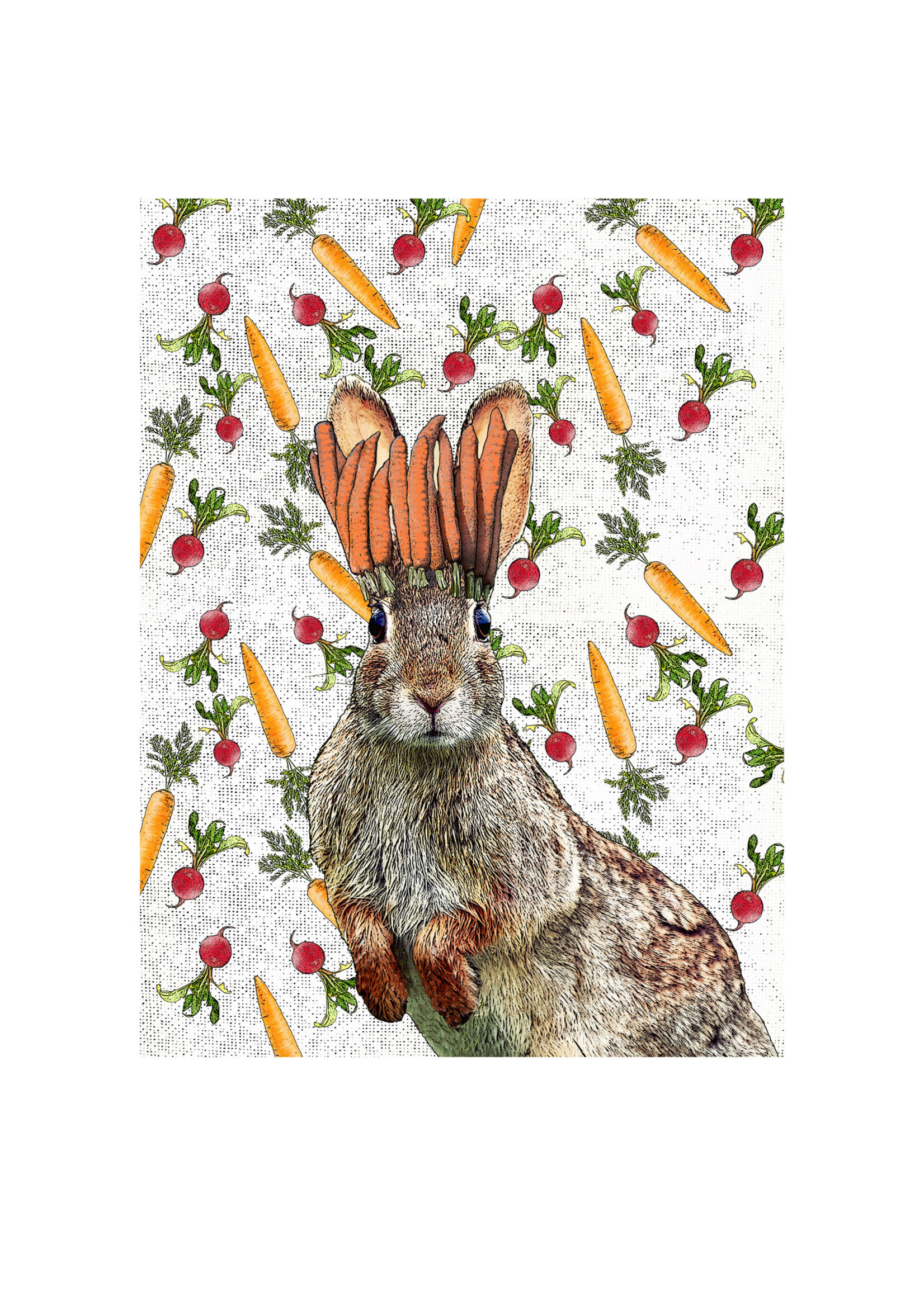 Alphie and Ollie king of carrots kitchen towel 18 x 24 inches flour sack material