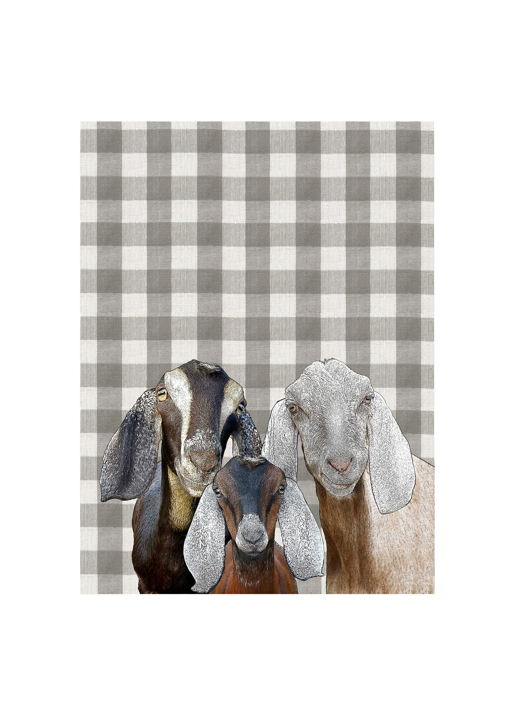 Alphie and Ollie nubian goats kitchen towel 18 x 24 inches flour sack material