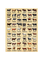 Alphie and Ollie cows kitchen towel 18 x 24 inches flour sack material
