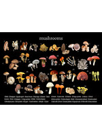 Alphie and Ollie mushroom vinyl placemat 12 x 17 inches