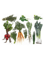 Alphie and Ollie vegetables and herbs vinyl placemat 12 x 17 inches