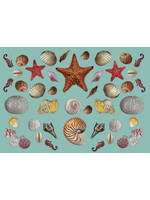 Alphie and Ollie sea shells vinyl placemat 12 x 17 inches
